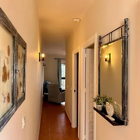 Palmas 9a - Oasis