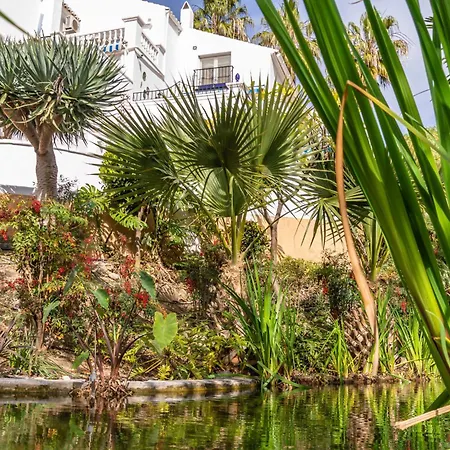 Palmas 9a - Oasis *